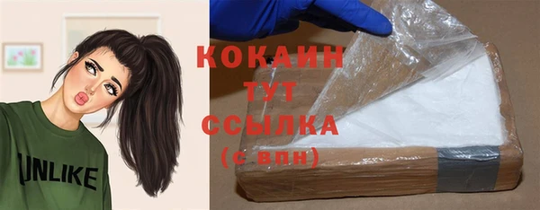 хмурый Богородицк