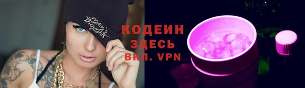 хмурый Богородицк