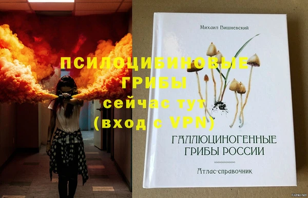 таблы Богородск