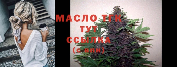 хмурый Богородицк