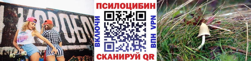 мориарти телеграм  Балей  Псилоцибиновые грибы мицелий 
